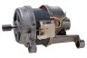 Zanker EF 34756 91490621601 Lavadora Motor y Accesorios 
