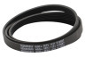 Haier HW 60 1482 Lavadora Todas las correas de transmisión 