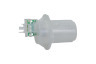Electrolux EW 6D297 GP 91609992400 Secadora Bomba 