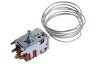Ariston BCS 331 47272720101 Congelatore Termostato e accessori 