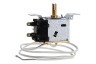 Hotpoint RZAAV 22 P AQ808890000 Congelatore Tutti i termostati 