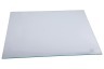 Liebherr CTP 2921 20 B 090982602 Koelkast Glasplaat (plank) & toebehoren 
