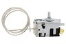 Baumatic HZI 2026 /00 BR195A Congelador Termostato y accesorios 