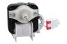 LG GT5132PVCA.APVQEUR GN-B352CLQA.APVQHSS Congelatore Ventilatore e motore 