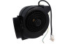 Dieter knoll Campana extractora Motor 