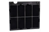 Atag-pelgrim WS6111MR/A01 Campana extractora Filtro y accesorios 