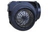 Novy D6510/1 6510/1 Campana extractora Motor 