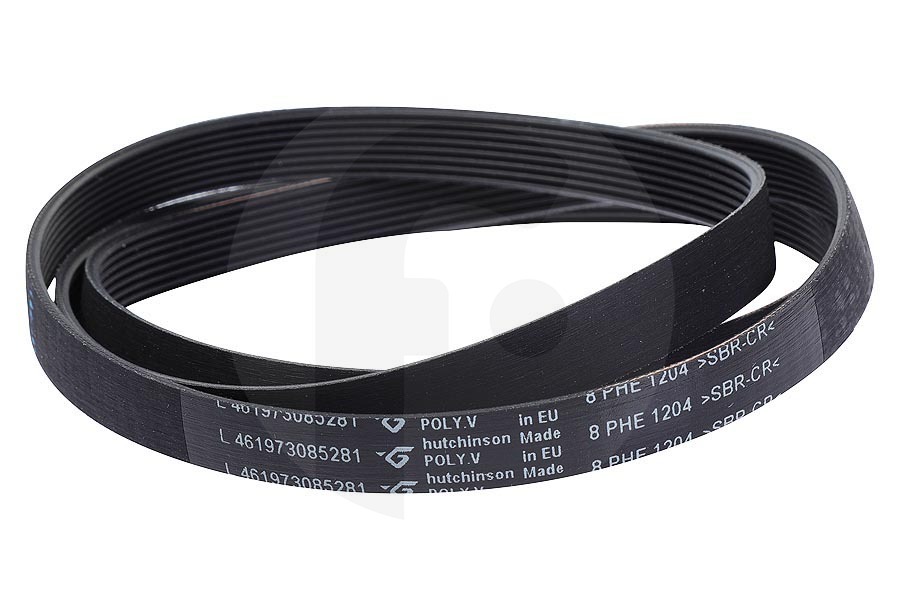 Bauknecht Correa Poli-V (correa en V, correa dentada) 1204 PHE8 para Whirlpool y otros lavadora 481235818167 apto para entre otros AWE2361, AWT2289, WAT6316