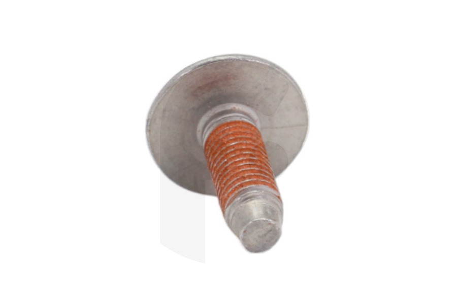 Samsung Lavatrice Samsung vite (bullone) della cerniera porta lavatrice 6009001522, 6009-001522