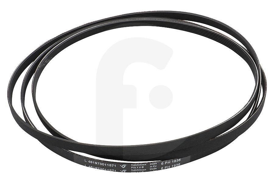 Ignis Secadora Correa Poly- V (correa, correa en V, correa acanalada) 6PH1936 secadora 481235818164 apto para entre otros AWZ681,