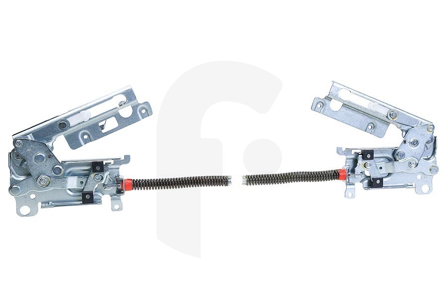 Faure Lavastoviglie Set di cerniere (cerniera della porta) sinistra e destra per AEG, Electrolux e altri lavastoviglie 4055474953