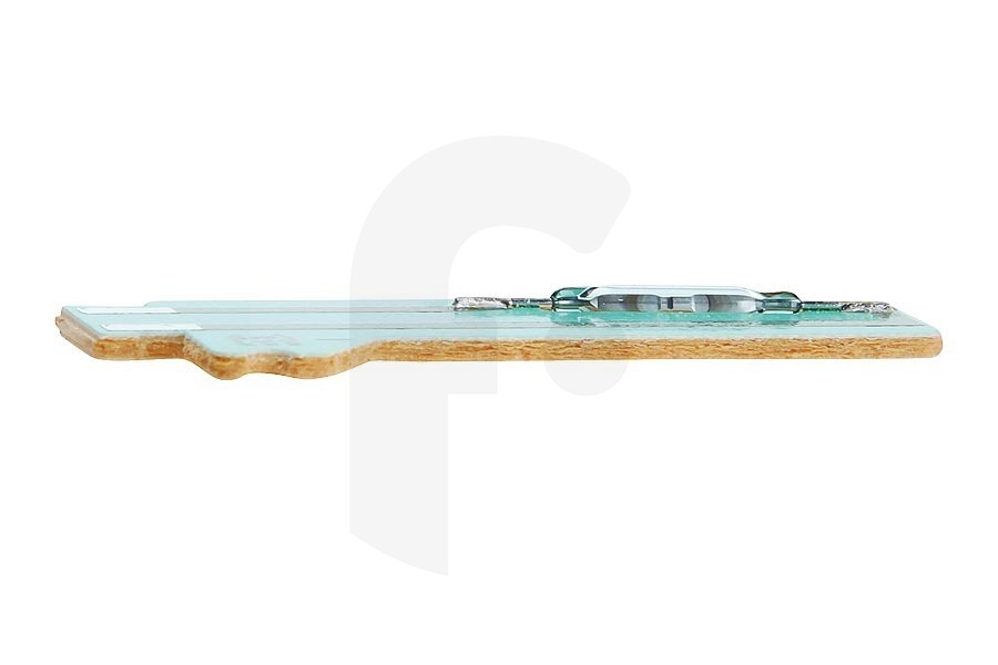 Ignis Lavastoviglie Contatto Reed (relè) della camera di livello (labirinto) per Bauknecht e altri lavastoviglie 480140102393