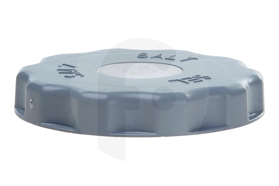 Whirlpool Lavastoviglie coperchio (per comparto sale) per Lavastoviglie 480140102405