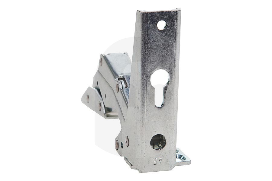 Foron Congelatore Cerniera (Dx Sup./Sx Inf.) frigorifero 483621, 00483621