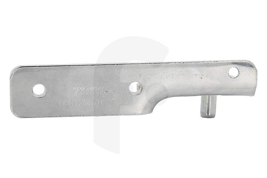 Haier Frigorifero Haier cerniera per porta del frigorifero 49046103, 0060120070B