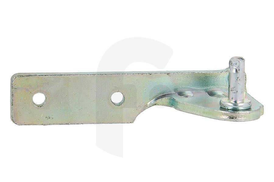 Haier Frigorifero Haier cerniera (cerniera porta) centrale per porta frigorifero congelatore 4907450100