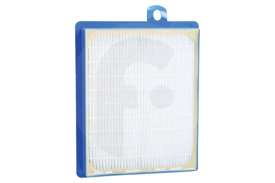 AEG Aspirapolvere AFS1W  s-Filtro allergia plus lavabile per aspirapolvere 9001677690