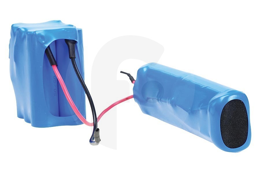 AEG Aspirapolvere Batteria (gruppo batteria) 12V completa per AEG, Electrolux e altri aspirapolvere senza fili 4055132304