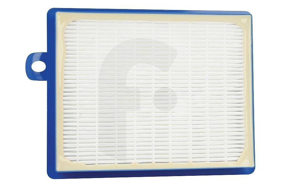 Philips Aspirapolvere Philips filtro hepa (antiallergico) Allergy Plus blu aspirapolvere 300002709911
