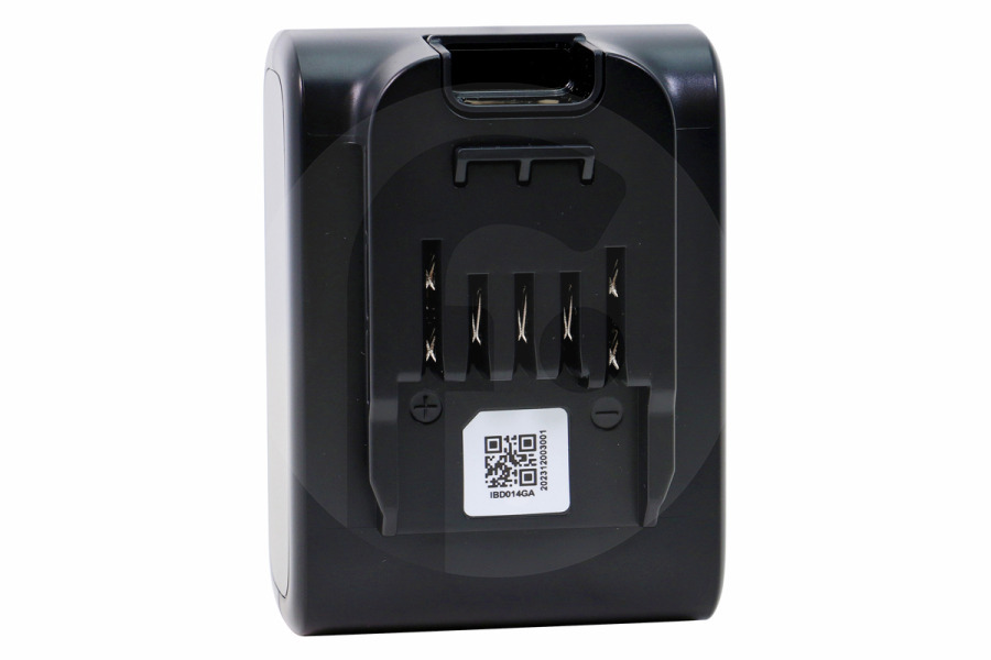 Philips Aspirapolvere Batteria Philips 300009473442