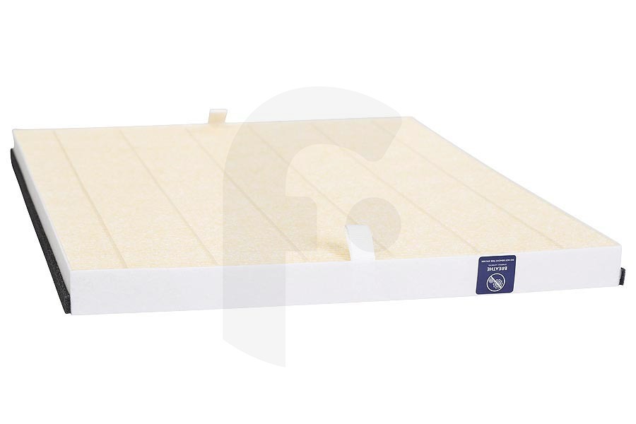 AEG Luftreiniger Pollenschutzfilter Breathe für u.a. AEG, Electrolux Luftreiniger 9009233306